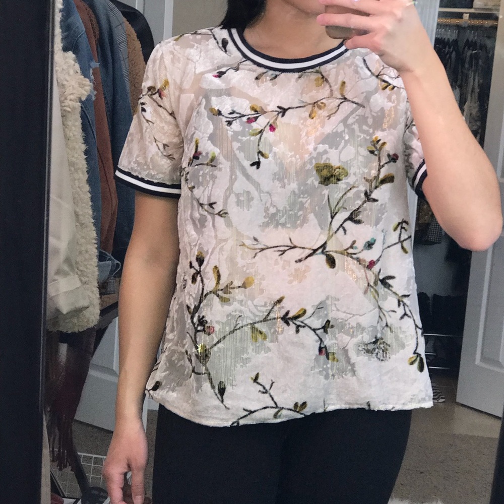 Sheer T-Shirt